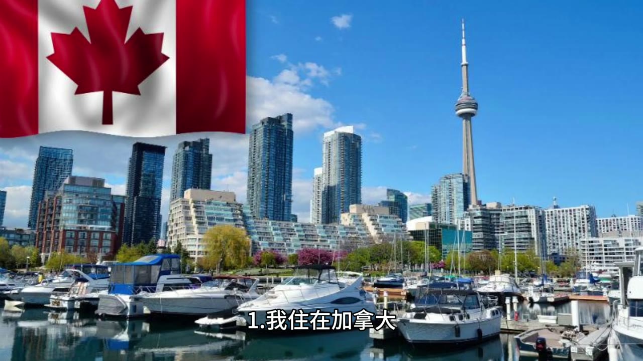 協助父母理財養老