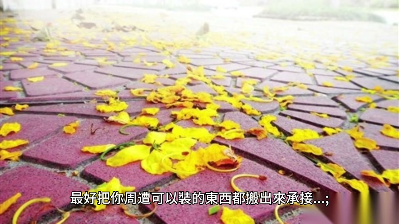 【分享四】 富人專注大方向，窮人撿芝麻掉西瓜
