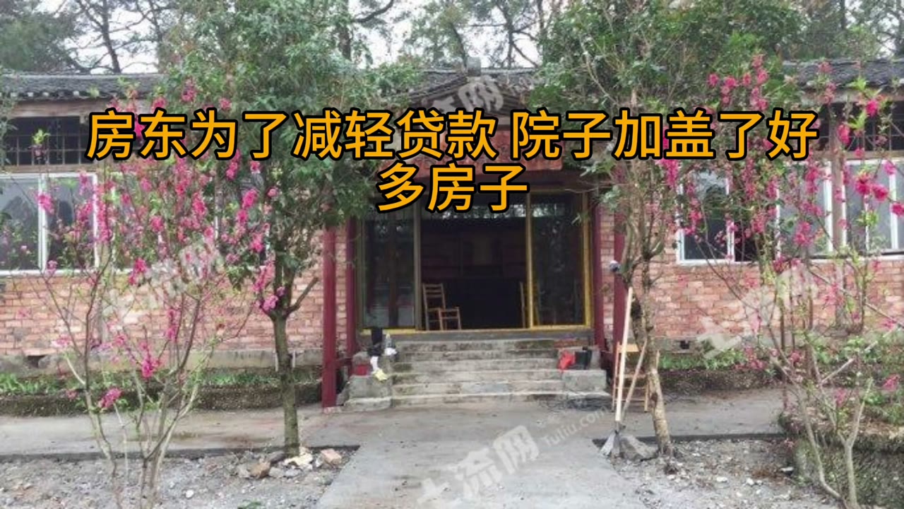 投資理財能力是天賦的本能還是後天的學習！投資長期債券取得現金流的資產配置是非常危險的
