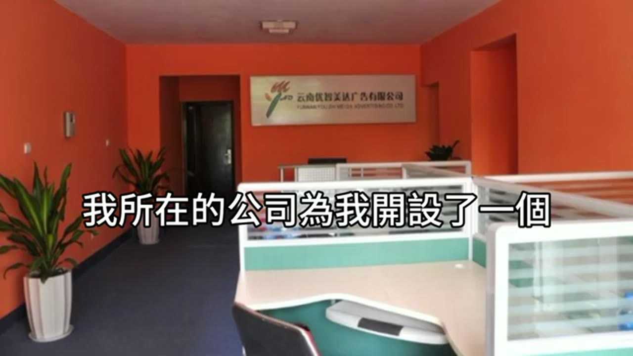大學畢業新鮮人的 401(k) 與券商帳戶提問