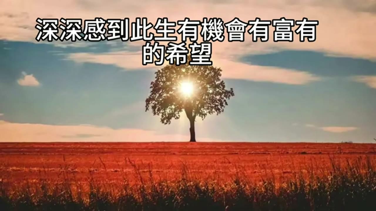 房屋抵押借款投入後：退休配置、現金部位與基金角色