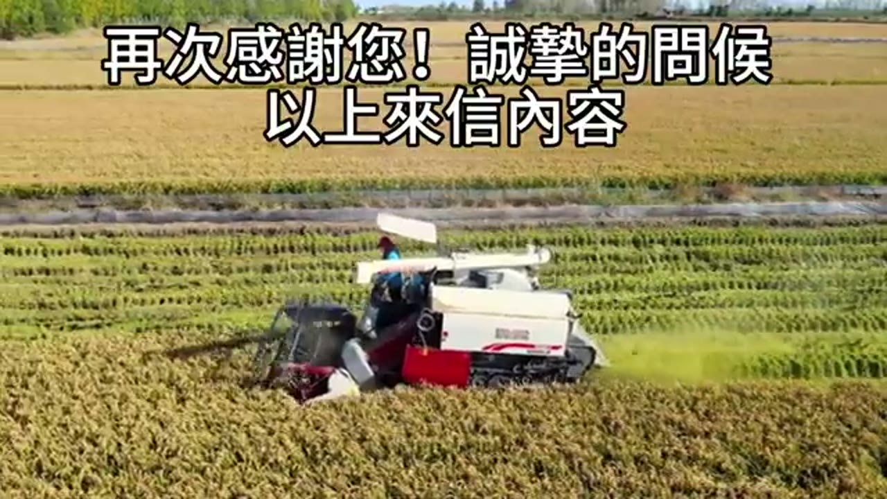 QQQ 下跌如何做稅損收割？洗售規則與 QQQM 轉換風險