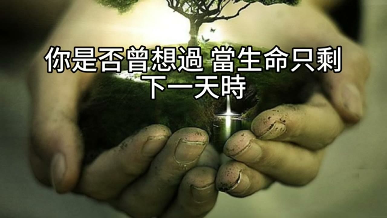 投資的最高境界：無聊中致富，風險中堅定——從質押到配置的終極人生功課