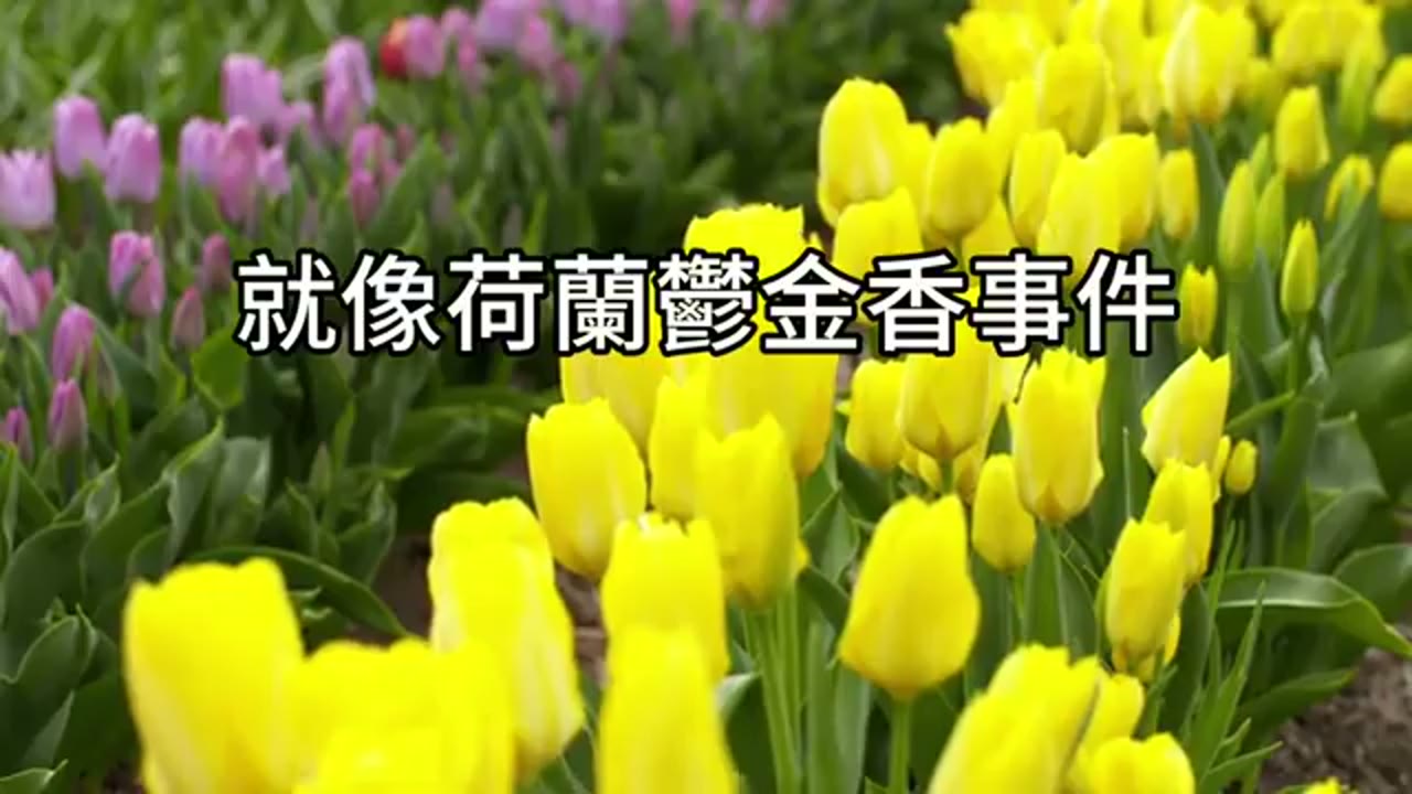 學會反脆弱：投資是一場與人生同行的修行